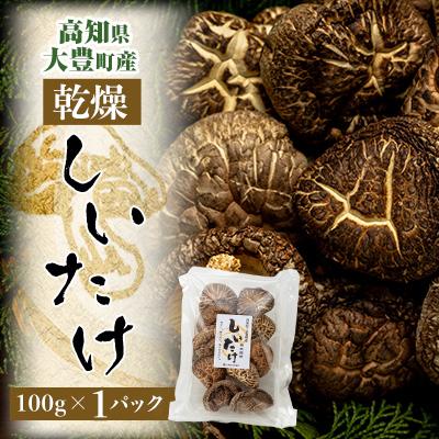 ふるさと納税 大豊町 高知県大豊町産 乾燥しいたけ 100g×1パック