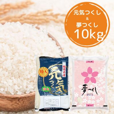 ふるさと納税 春日市 [令和7年産]福岡県産米食べ比べ&lt;白米&gt;「夢つくし」と「元気つくし」セット計10kg 春日市