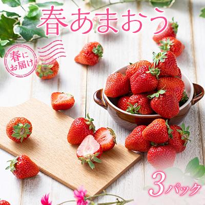 ふるさと納税 粕屋町 [2026年発送先行受付]春にお届け!福岡産はるあまおう3パック(粕屋町)