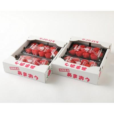 ふるさと納税 筑後市 いちごファームきららのあまおう 約1140g(約285g×4パック)(筑後市)