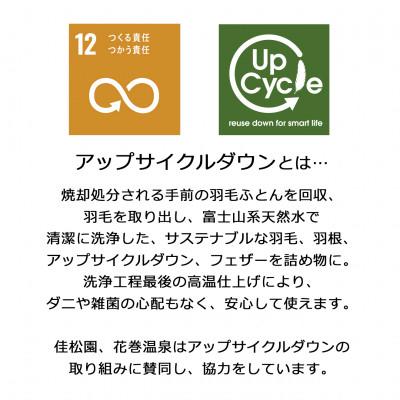 ふるさと納税 花巻市 ダウンパッド(羽毛敷きパッド)ダブル [サステナブルなダウン×抗菌防臭生地]