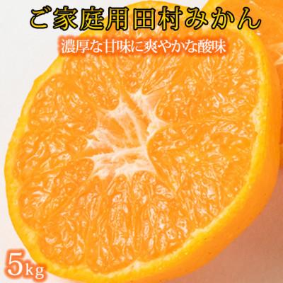 ふるさと納税 広川町 [2026年11月下旬より発送][ご家庭用訳あり]田村みかん 5kg
