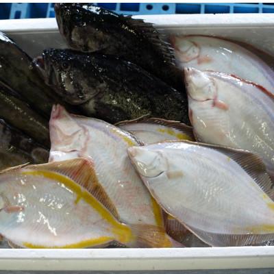 ふるさと納税 森町 北海道噴火湾産 とれたて鮮魚福袋 約4kg