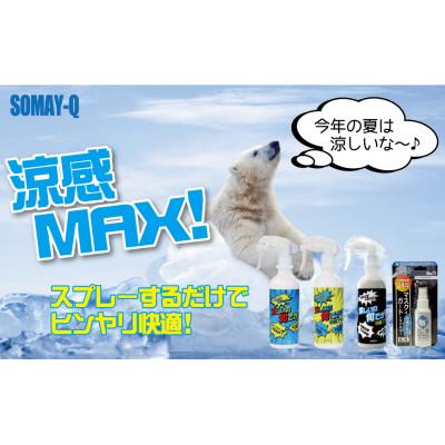 ふるさと納税 幸手市 暑い夏を乗り切ろう!セット