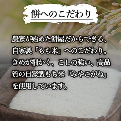 ふるさと納税 美里町 こだわりずんだ餅　(3粒入りパック×4)　お歳暮などにもおススメ♪ |  | 02