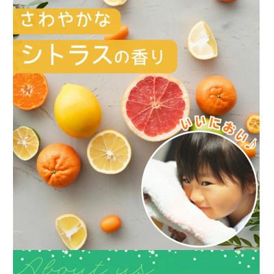 ふるさと納税 龍ケ崎市 トリプル酵素の力で汚れをスカッと落とす　洗濯洗剤 サンブライト 1.2kg×10個　沖縄・離島配送可 |  | 02