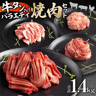 ふるさと納税 宮崎市 宮崎県産牛豚鶏&amp;牛タンスライス焼肉セット
