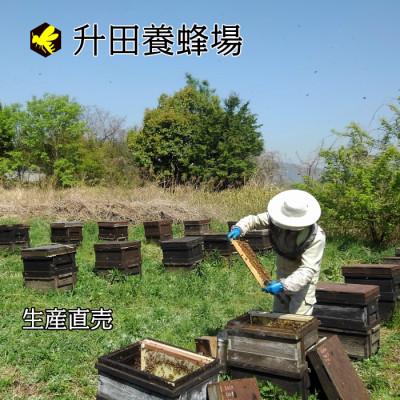 ふるさと納税 三次市 国産純粋はちみつ広島県産の天然百花蜂蜜1200g入