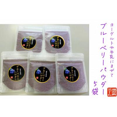 ふるさと納税 遠野市 ブルーベリーパウダー5個セット
