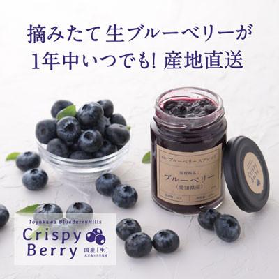 ふるさと納税 豊川市 [日本でここだけ!冬採れブルーベリー] 生ブルーベリー×1パック ブルーベリースプレッド×2個