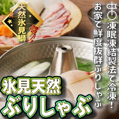 ふるさと納税 氷見市 氷見天然ブリしゃぶしゃぶ用300g[凍眠凍結]