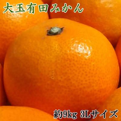 ふるさと納税 日高川町 [食べごたえ十分]和歌山有田みかん大玉約9kg(3Lサイズ・秀品)(日高川町)