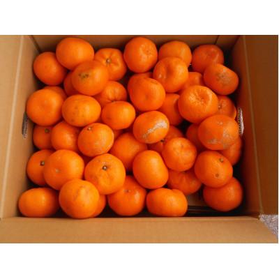 ふるさと納税 湯浅町 紀州有田みかん 約10kg 2S〜2L サイズいずれか[訳あり 家庭用][サイズ混合]