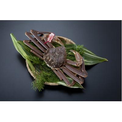 ふるさと納税 北栄町 活 鳥取県産タグ付き松葉ガニ大1枚(700~800g)