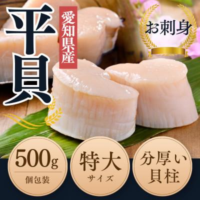 ふるさと納税 南知多町 [2025年 先行受付] 純国産 天然 平貝 特大サイズ むき身 セット 約500g 岬だより