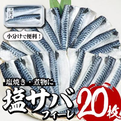 ふるさと納税 門川町 塩サバフィーレ(20枚・計約2.5kg)