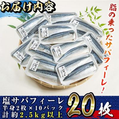 ふるさと納税 門川町 塩サバフィーレ(20枚・計約2.5kg)_3