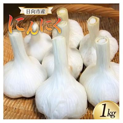 ふるさと納税 日向市 【期間限定発送】 にんにく 国産 1kg | 