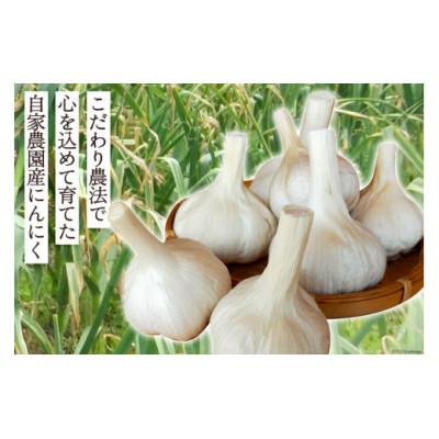 ふるさと納税 日向市 【期間限定発送】 にんにく 国産 1kg |  | 01
