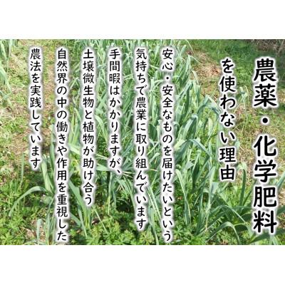 ふるさと納税 日向市 【期間限定発送】 にんにく 国産 1kg |  | 02