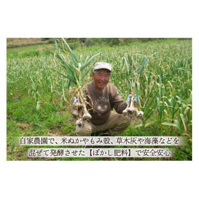 ふるさと納税 日向市 【期間限定発送】 にんにく 国産 1kg |  | 03