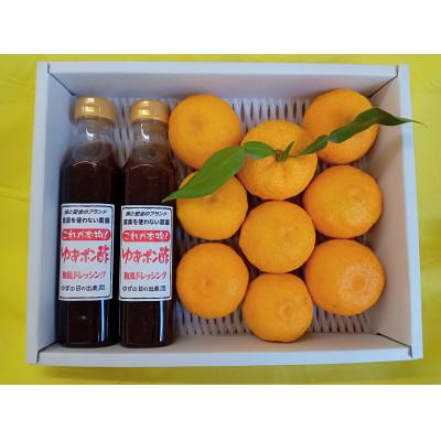 ふるさと納税 富士川町 [先行受付]栽培期間中農薬不使用の柚子をそのまま絞ったゆずポン酢2本と、柚子約10個