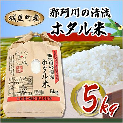 ふるさと納税 城里町 [令和6年産]城里町内・桂農産の[那珂川の清流ホタル米] 5kg