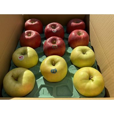 ふるさと納税 黒石市 早生ふじ&amp;トキ 贈答用約5kg りんご中生種、一押し詰合せ! 10月上旬より発送