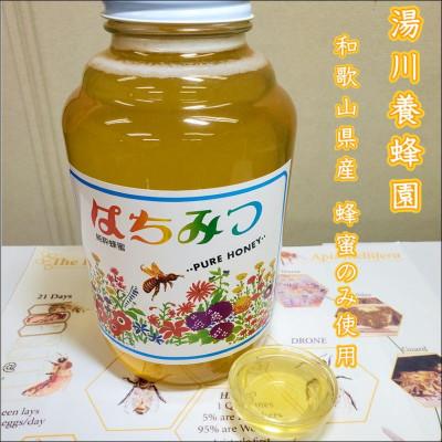 ふるさと納税 御坊市 白山農園の自然派無添加　はちみつ梅干し600g |  | 01