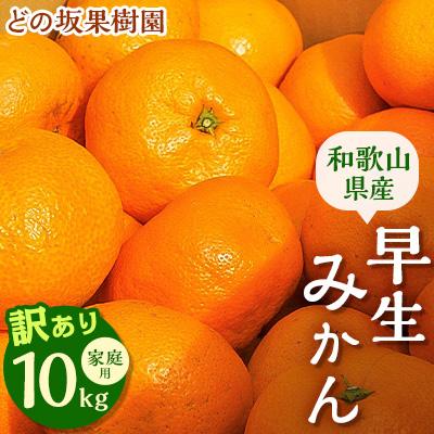 ふるさと納税 日高川町 早生みかん10kg(家庭用・ワケあり・玉数おまかせ)