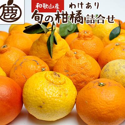 ふるさと納税 美浜町 家庭用 柑橘詰合せ5kg+250g(傷み補償分)[訳あり][光センサー選別][フルーツ詰め合せ]