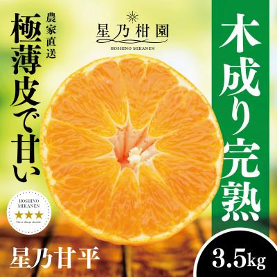 ふるさと納税 八幡浜市 星乃みかん園の星乃甘平(3.5kg)[D45-46]