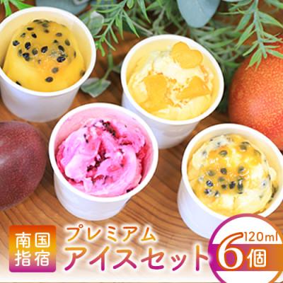 ふるさと納税 指宿市 ゴロゴロ果肉入りプレミアムアイス6個セット(013-1212)
