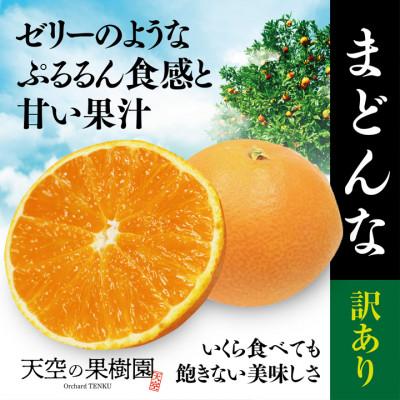 ふるさと納税 八幡浜市 [訳あり]天空の果樹園から届く そらまどんな(5kg)[D95-1]