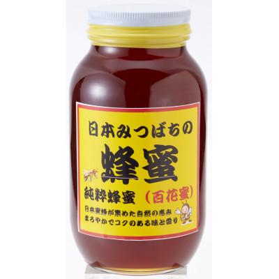 ふるさと納税 下仁田町 希少!純粋日本みつばちの蜂蜜300g