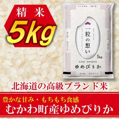 ふるさと納税 むかわ町 [令和7年産先行予約]北海道のブランド米!北海道むかわ町産ゆめぴりか 精米5kg