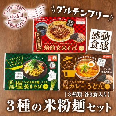 ふるさと納税 いわき市 [グルテンフリー]3種の米粉麺セット いわき米粉麺カレーうどん・いわきねぎ麺塩焼きそば・焙煎玄米そば