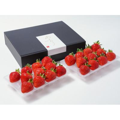 ふるさと納税 筑後市 ふくおかエコ農産物認証!あまおうEXサイズ 贈答用 約600g 約300g×2パック(筑後市)