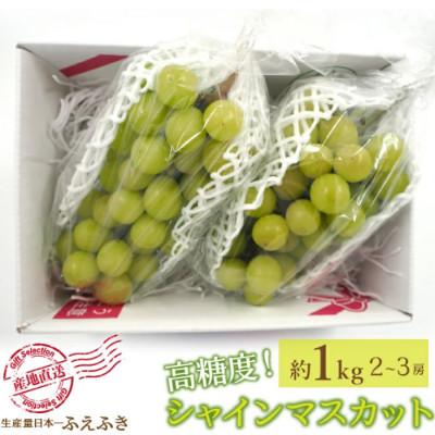 ふるさと納税 笛吹市 [ふるさと納税] 2026年先行予約 厳選!シャインマスカット 約1.0kg(2〜3房) 笛吹市産