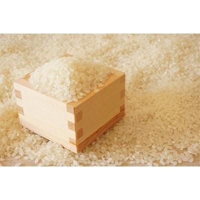 ふるさと納税 吉富町 【令和7年産】福岡県産ブランド米「夢つくし」無洗米 計20kg(吉富町)の画像