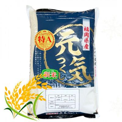 ふるさと納税 吉富町 [令和7年産]福岡県産ブランド米「元気つくし」白米5kg(吉富町)