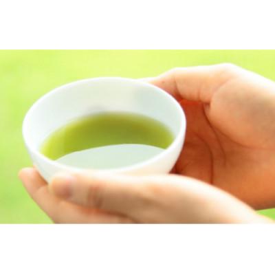 ふるさと納税 御前崎市 つゆひかり茶仕かける