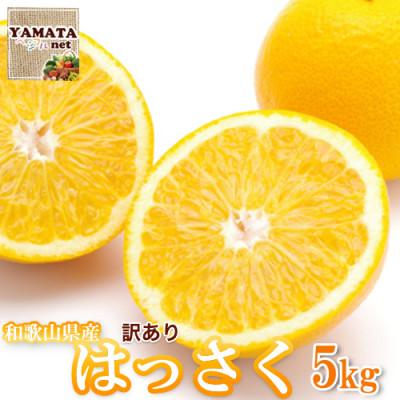 ふるさと納税 和歌山市 [訳あり]はっさく 和歌山産 八朔 5kg [ご自宅用・サイズ不揃い・キズ等あり]