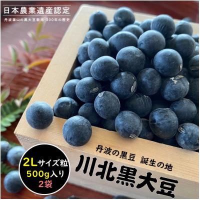ふるさと納税 丹波篠山市 [2025年12月収穫新豆 予約]川北黒大豆 2Lサイズ粒 丹波の黒豆