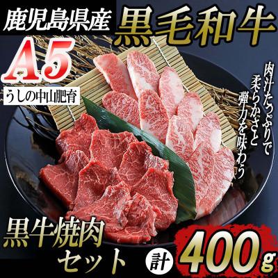 ふるさと納税 知名町 鹿児島黒牛A5ランク焼肉セット400g