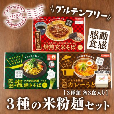 ふるさと納税 いわき市 無地熨斗[グルテンフリー]3種の米粉麺セット(米粉麺カレーうどん・ねぎ麺塩焼きそば・焙煎玄米そば)