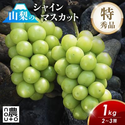 ふるさと納税 笛吹市 先行受付 2026年発送 山梨県 シャインマスカット 1kg以上(2房〜3房)