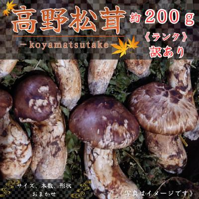 ふるさと納税 橋本市 【和歌山産】〜香りそのまま真空パック〜高級・希少 高野松茸　200g(訳有品詰合せ) | 