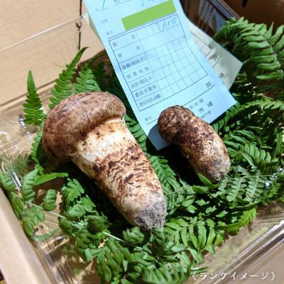 ふるさと納税 橋本市 【和歌山産】〜香りそのまま真空パック〜高級・希少 高野松茸　200g(訳有品詰合せ) |  | 03