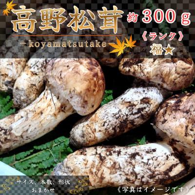 ふるさと納税 橋本市 【和歌山産】〜香りそのまま真空パック〜高級・希少高野松茸　300g(福:★) | 